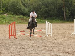 img_9646_web